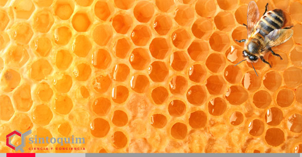 Strahl & Pitsch Bees Wax
