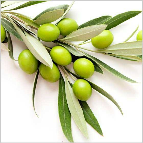 Aceite de oliva o ingredientes naturalmente saludables